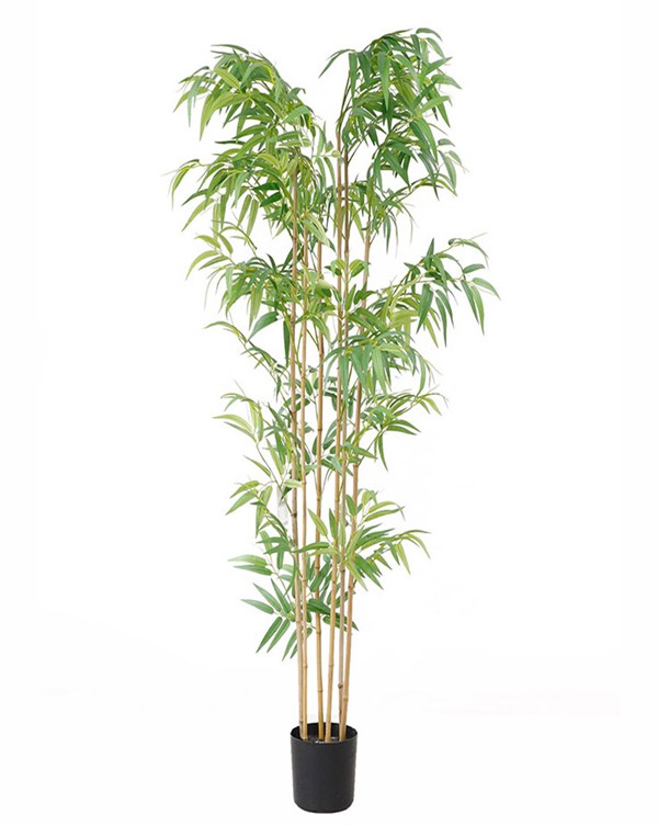 BAMBOO NP5801_180_22_UV ΥΨΟΣ 180cm NewPlan
