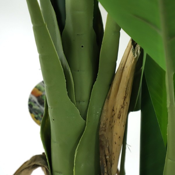 BANANA TREE NP702_145 ΥΨΟΣ 145cm NewPlan - Image 4