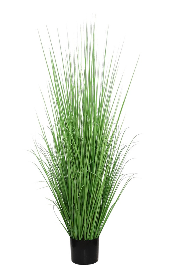 ONION GRASS TREE NP1011_120 ΥΨΟΣ 120cm NewPlan