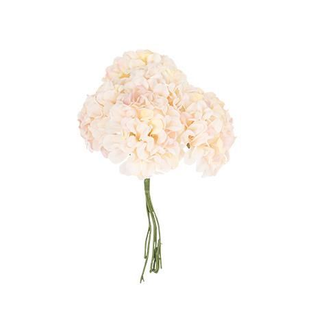 Beauty Home 6 ΟΡΤΑΝΣΙΕΣ 10cm - Image 2