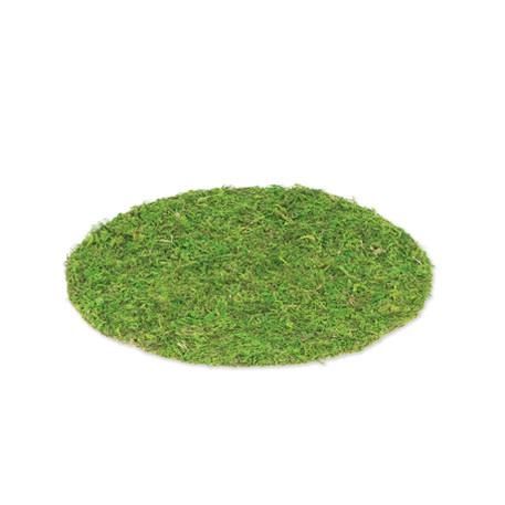 Beauty Home ΣΟΥΠΛΑ GREENERY 35 cm