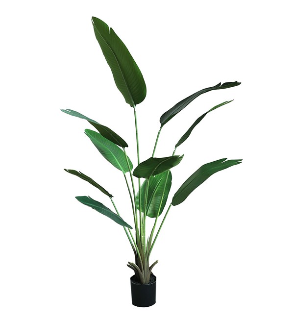 BANANA TREE NP1411_160 ΥΨΟΣ 160cm NewPlan