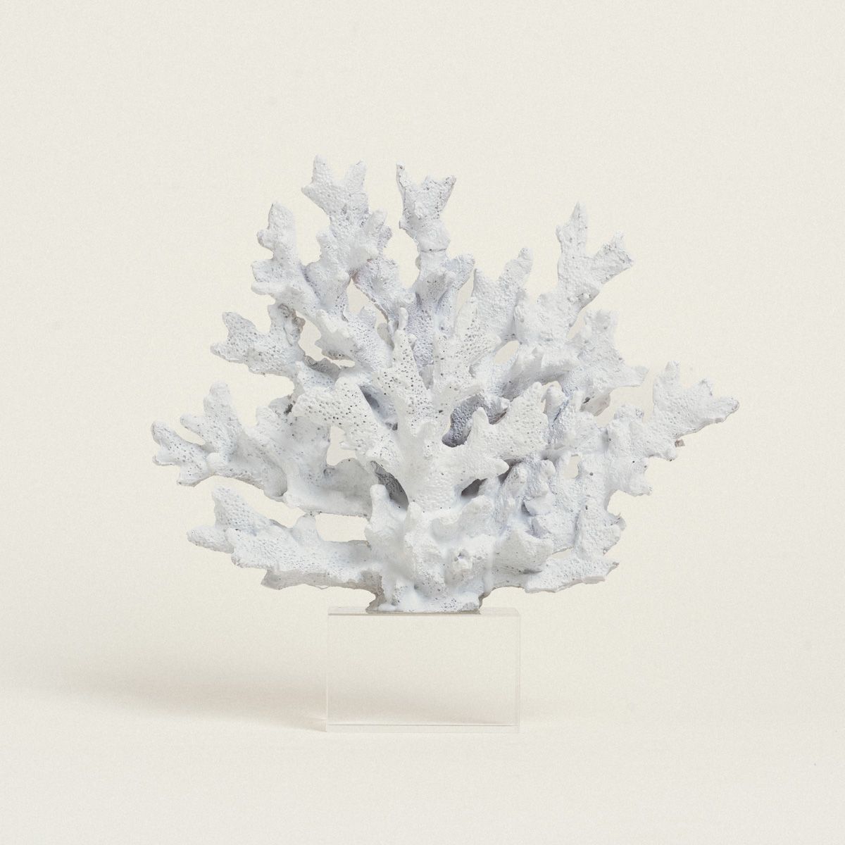 Beauty Home ΚΟΡΑΛΙ ΛΕΥΚΟ ΜΕ ΒΑΣΗ PLEXI GLASS 24 x 24 cm