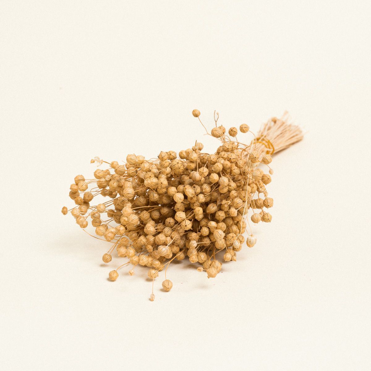 Beauty Home ΑΠΟΞΗΡΑΜΕΝΟ ΛΙΝΑΡΙ - Image 9