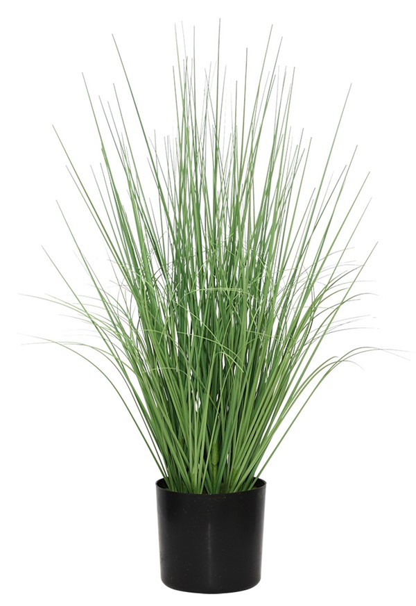 ONION GRASS TREE NP1009_60 ΥΨΟΣ 60cm NewPlan