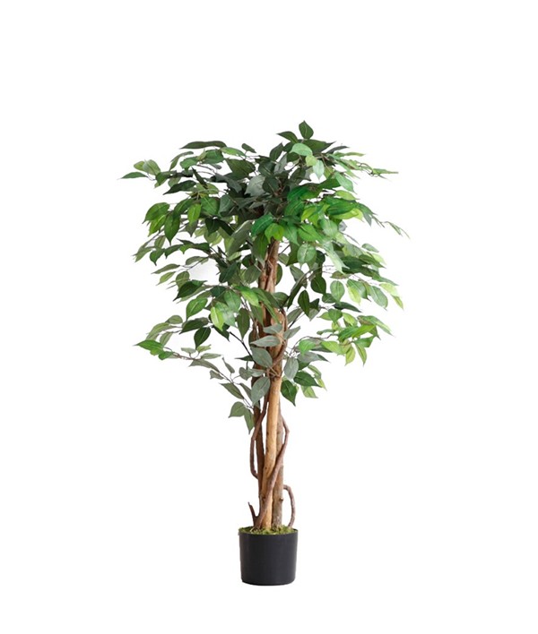 FICUS TREE NP0078_120 YΨΟΣ 120cm NewPlan