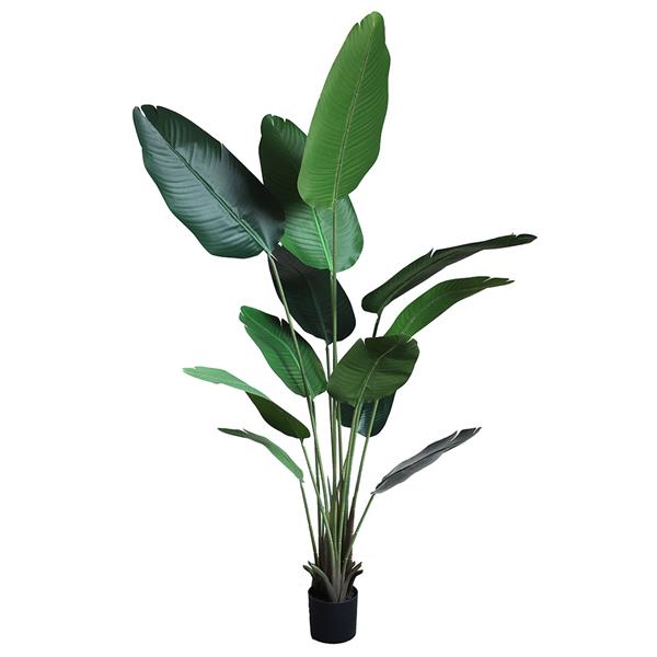 BANANA TREE NP1412_180 ΥΨΟΣ 180cm NewPlan