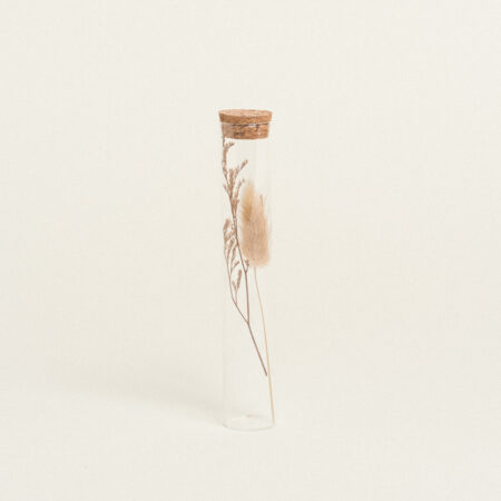 Beauty Home ΓΥΑΛΙΝΟΣ ΣΩΛΗΝΑΣ ΜΕ ΚΛΑΔΙΑ 3 x 18 cm