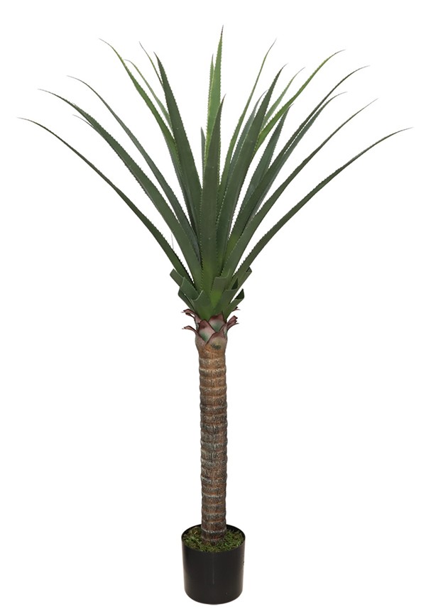 AGAVE TREE NP802_160 ΥΨΟΣ 160cm NewPlan