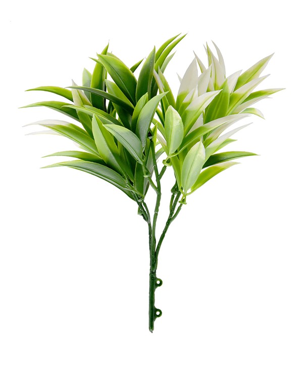ΔΙΑΚΟΣΜΗΤΙΚΟ ΜΠΟΥΚΕΤΟ (SET 10ΤΜΧ) AMALFI W007 PODOCARPUS NAGI NewPlan