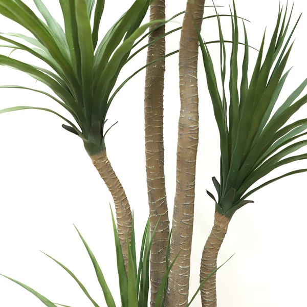 DRACAENA NP_28_155 ΥΨΟΣ 155cm NewPlan - Image 2