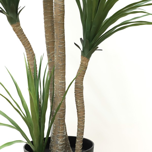 DRACAENA NP_28_155 ΥΨΟΣ 155cm NewPlan - Image 3