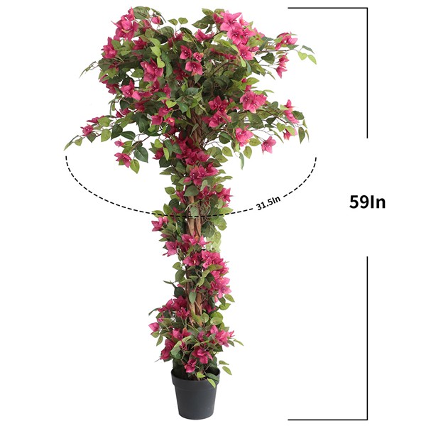 BOUGAINVILLEA NP_34_160 ΥΨΟΣ 160cm NewPlan - Image 3