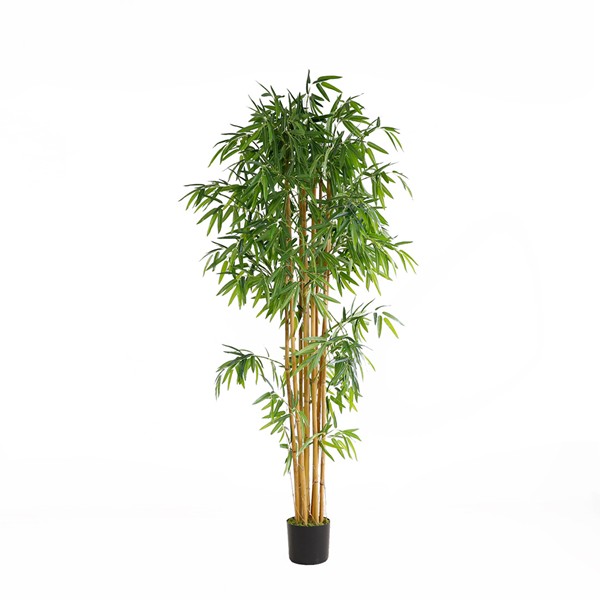 BAMBOO NP0076_210 ΥΨΟΣ 210cm NewPlan