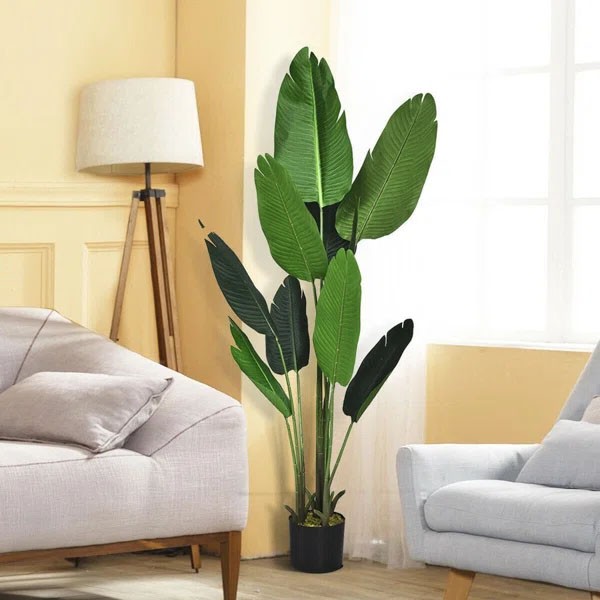 BANANA TREE NP1410_120 ΥΨΟΣ 120cm NewPlan - Image 2