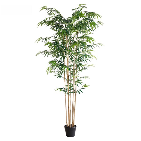 BAMBOO NP0070_210 ΥΨΟΣ 210cm NewPlan