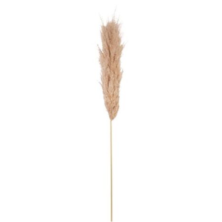 Beauty Home Αποξηραμένο κλαδί Pampas Εκρού 1,15 – 1,20μ