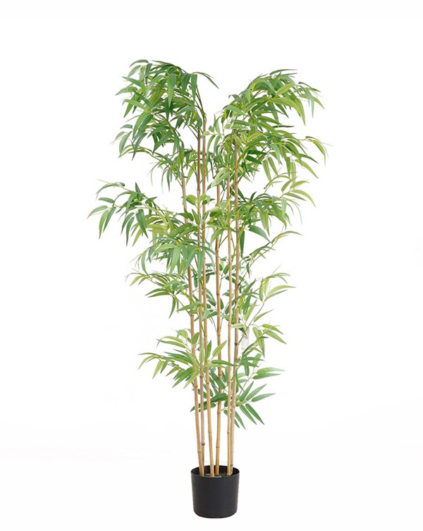 BAMBOO NP5801_150_22_UV ΥΨΟΣ 150cm NewPlan
