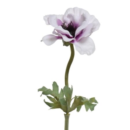 Beauty Home ΑΝΕΜΩΝΗ 57 CM