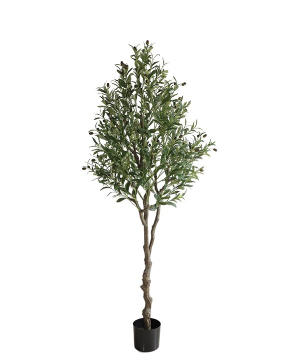 OLIVE TREE NP410_180 ΥΨΟΣ 180cm NewPlan