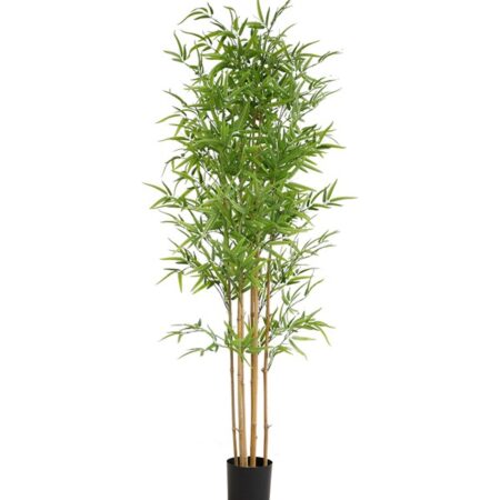 BAMBOO  NP6321_180_22  ΥΨΟΣ 180cm NewPlan