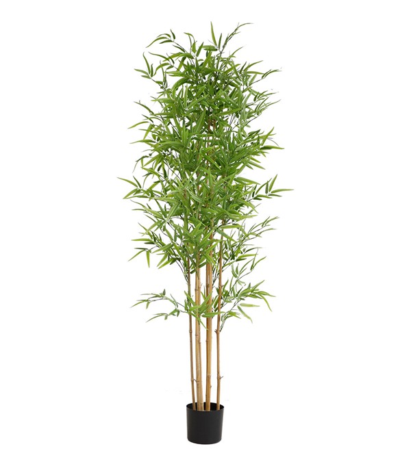 BAMBOO NP6321_180_22 ΥΨΟΣ 180cm NewPlan