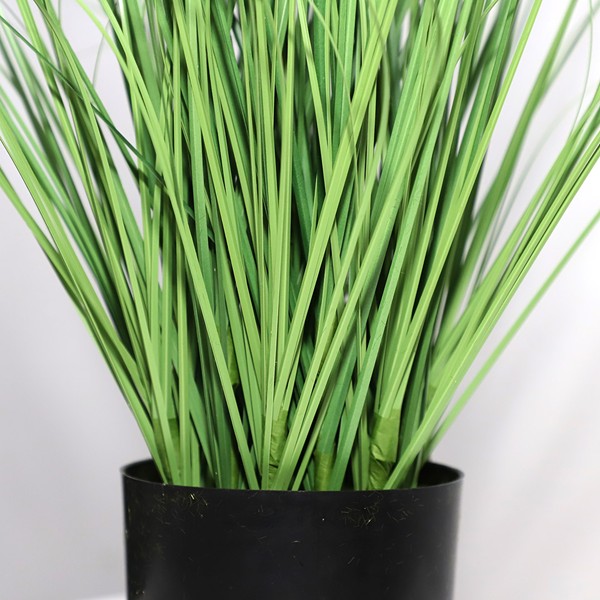 ONION GRASS TREE NP1009_60 ΥΨΟΣ 60cm NewPlan - Image 2