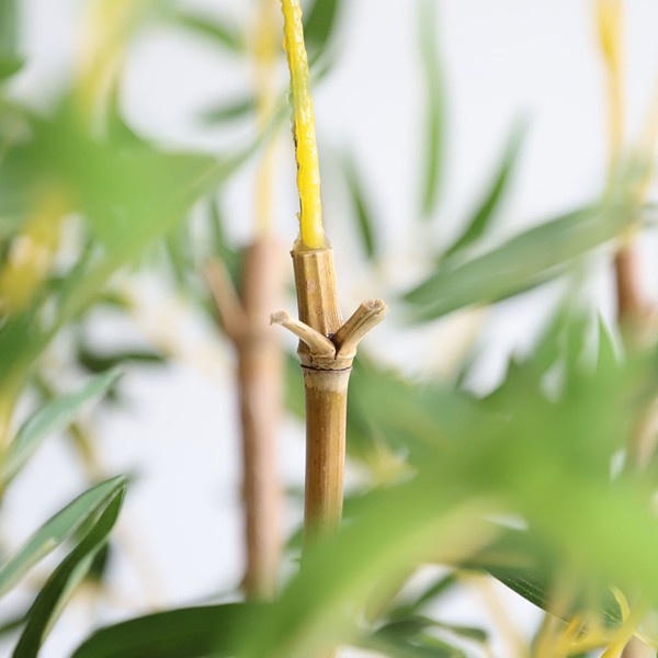 BAMBOO IN POT NP827_180_UV ΥΨΟΣ 180cm NewPlan - Image 4