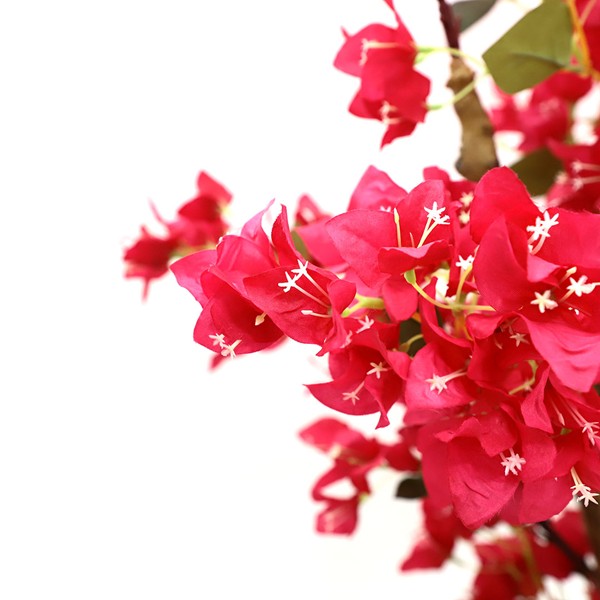 BOUGAINVILLEA NP0421_210 ΥΨΟΣ 210cm NewPlan - Image 2