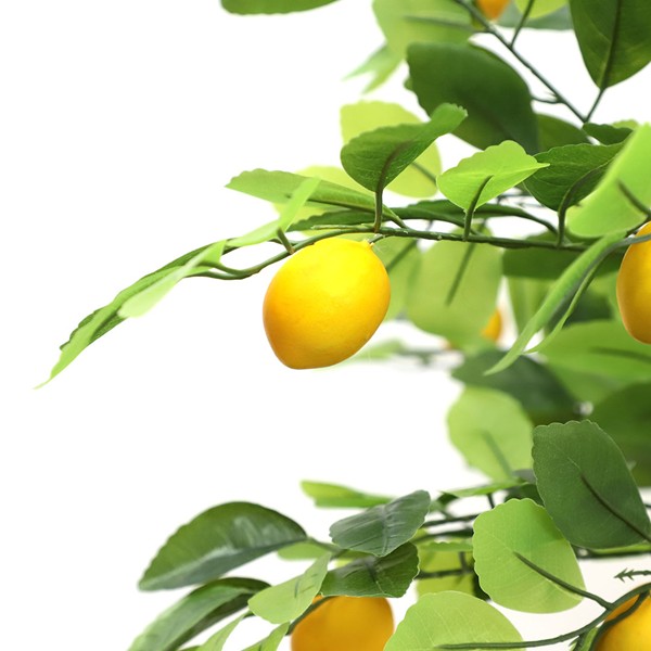 LEMON TREE NP_30_170 ΥΨΟΣ 170cm NewPlan - Image 3