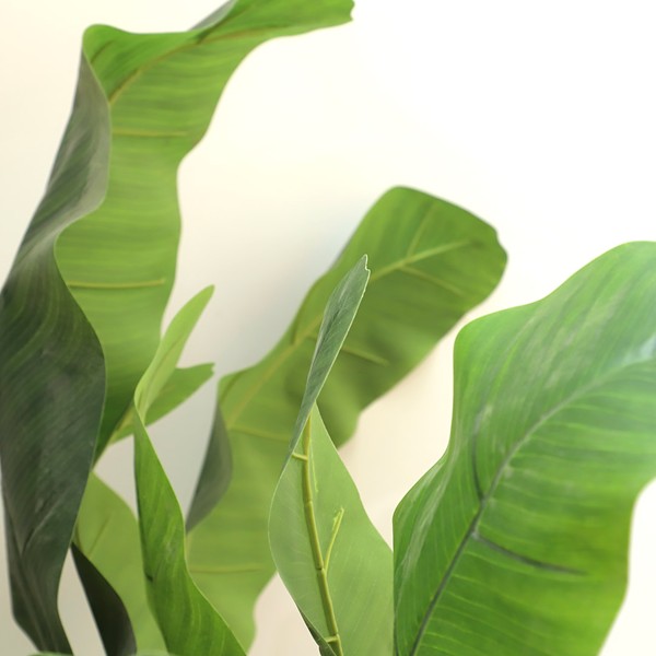 BANANA TREE NP707_240 ΥΨΟΣ 240cm NewPlan - Image 4