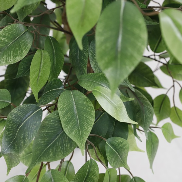 FICUS TREE NP230_210_UV ΥΨΟΣ 210cm NewPlan - Image 2