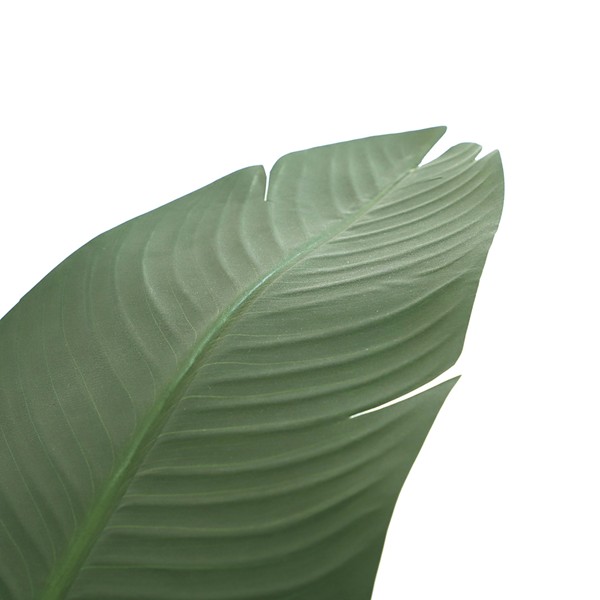 BANANA TREE NP1411_160 ΥΨΟΣ 160cm NewPlan - Image 2