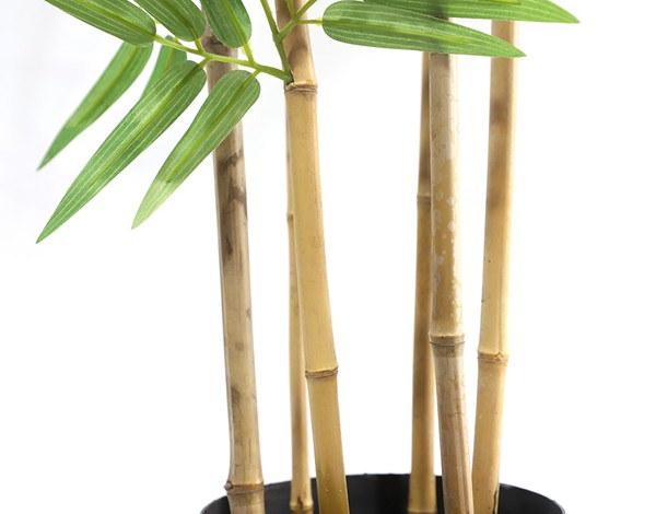 BAMBOO NP5801_150_22_UV ΥΨΟΣ 150cm NewPlan - Image 4