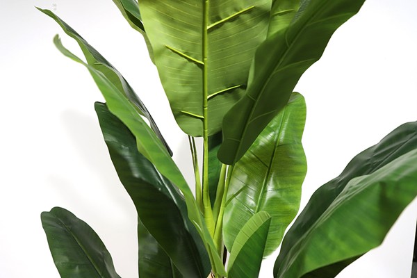 BANANA TREE NP6327_180_22 ΥΨΟΣ 180cm NewPlan - Image 3