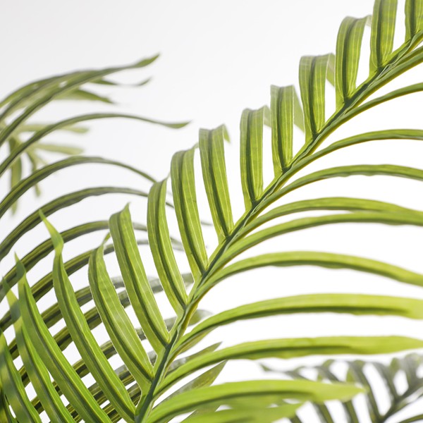 PALM TREE NP5506_180_22 ΥΨΟΣ 180cm NewPlan - Image 2