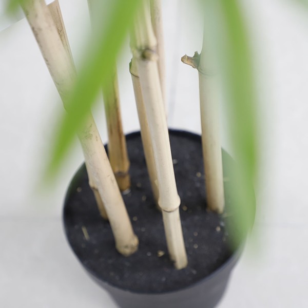 BAMBOO NP0070_210 ΥΨΟΣ 210cm NewPlan - Image 3