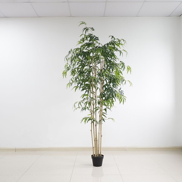 BAMBOO NP0070_210 ΥΨΟΣ 210cm NewPlan - Image 4