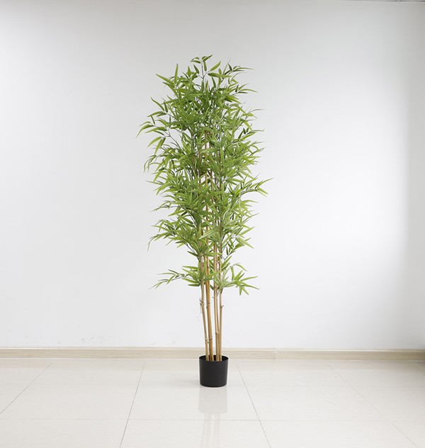 BAMBOO NP6321_180_22 ΥΨΟΣ 180cm NewPlan - Image 3