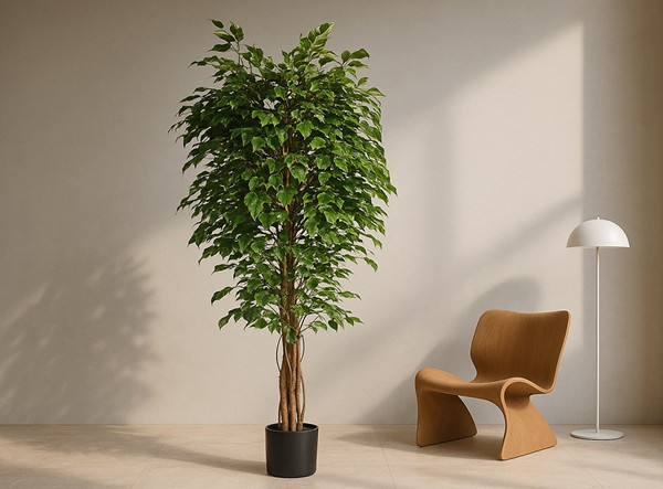 FICUS TREE NP230_210_UV ΥΨΟΣ 210cm NewPlan - Image 5