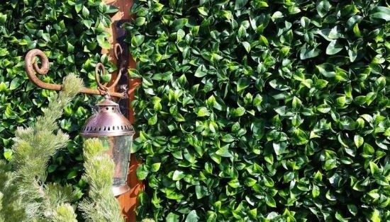 ΠΑΝΕΛ ΦΥΛΛΩΣΙΑΣ BERLIN 50 Χ 50 A017 PHOTINIA NewPlan - Image 3